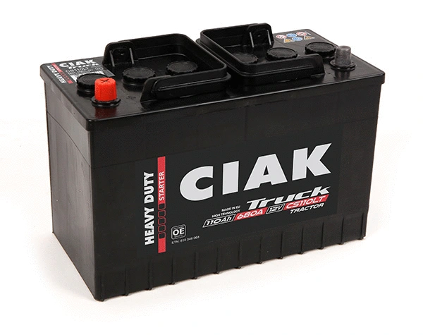 Starter Battery (CS110LT)