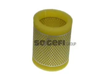 Air Filter (A436)