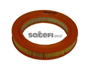 Air Filter (A1366)