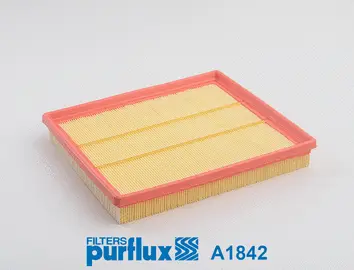 Air Filter (A1842)