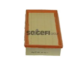 Air Filter (A246)