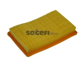 Air Filter (A1369)