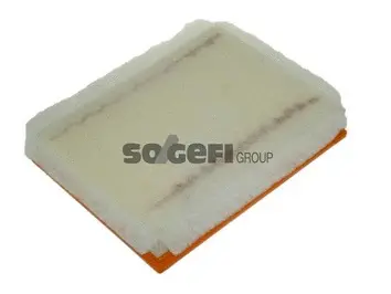 Air Filter (A1269)