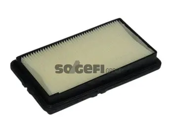 Air Filter (A1006)