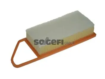 Air Filter (A1247)
