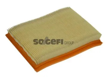 Air Filter (A1145)