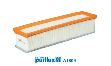 Air Filter (A1809)