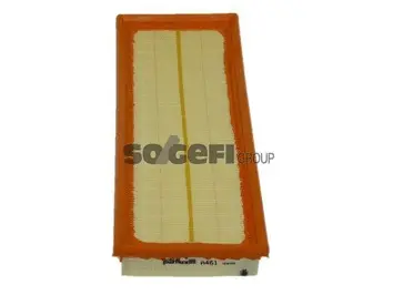 Air Filter (A461)