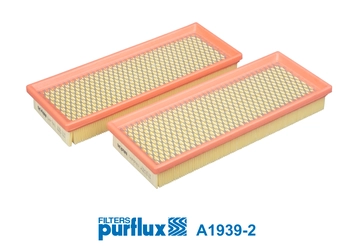 Air Filter (A1939-2)