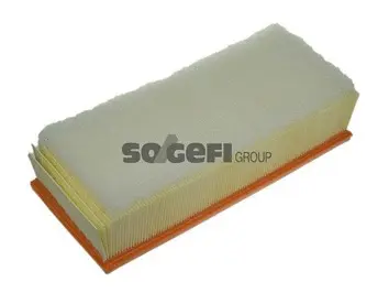 Air Filter (A1257)