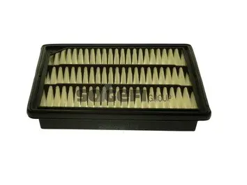 Air Filter (A1563)