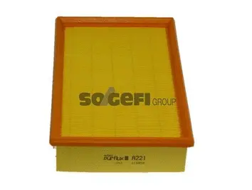 Air Filter (A221)