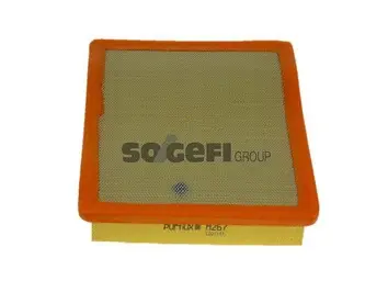 Air Filter (A267)