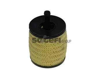 Oil Filter (L319)
