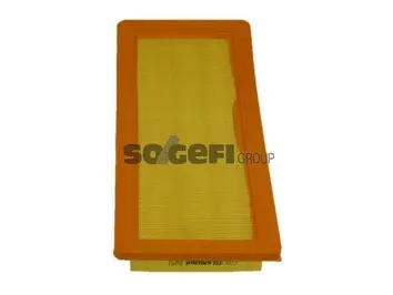 Air Filter (A927)
