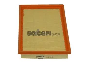 Air Filter (A303A)