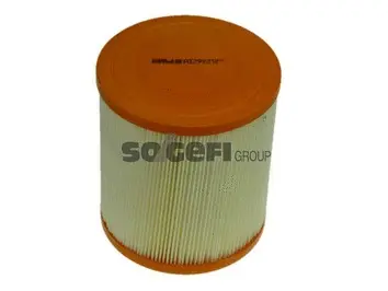 Air Filter (A1291)