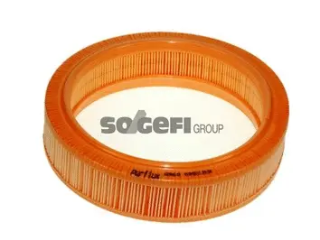 Air Filter (A960)