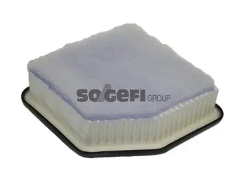 Air Filter (A1305)