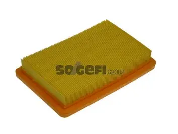 Air Filter (A1345)
