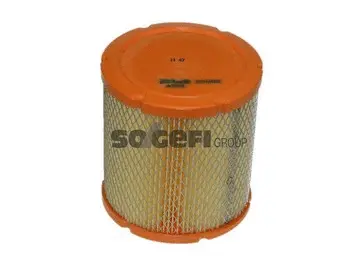 Air Filter (A1373)