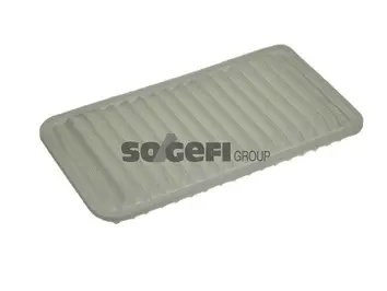 Air Filter (A1379)