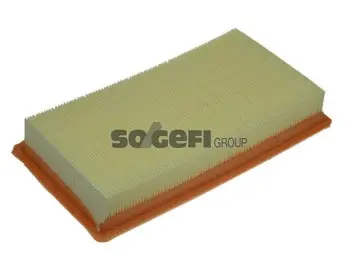 Air Filter (A1230)