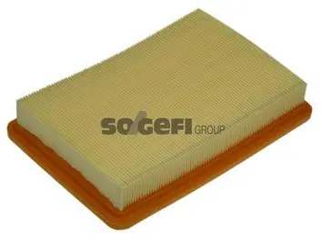 Air Filter (A1174)