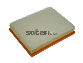 Air Filter (A1350)