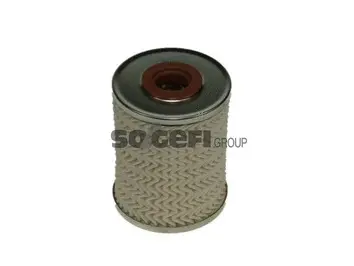 Fuel Filter (C494E)