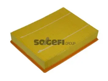 Air Filter (A1210)