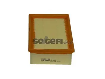 Air Filter (A309)