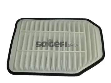 Air Filter (A1517)