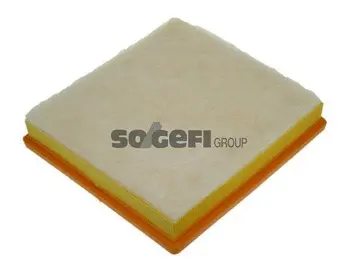 Air Filter (A1161)