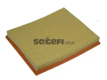 Air Filter (A1008)