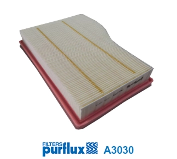 Air Filter (A3030)