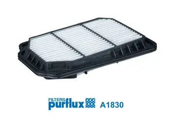 Air Filter (A1830)