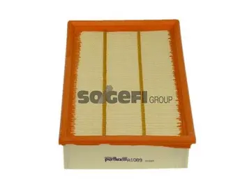 Air Filter (A1089)