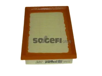 Air Filter (A1613)