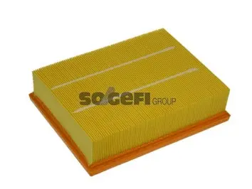 Air Filter (A1165)