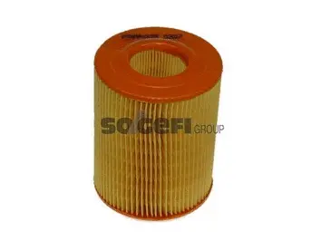 Air Filter (A393)