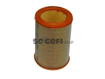 Air Filter (A197)