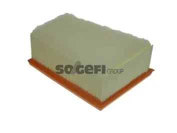 Air Filter (A1231)