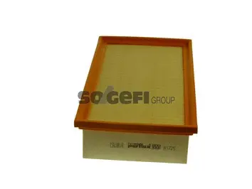 Air Filter (A1725)