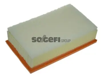Air Filter (A1275)