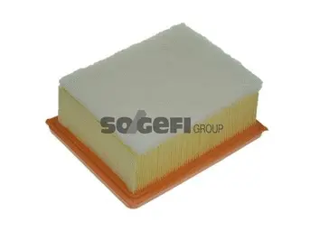 Air Filter (A1097)