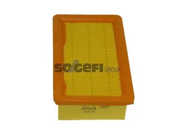 Air Filter (A929)