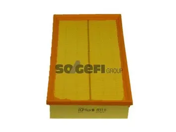 Air Filter (A310)