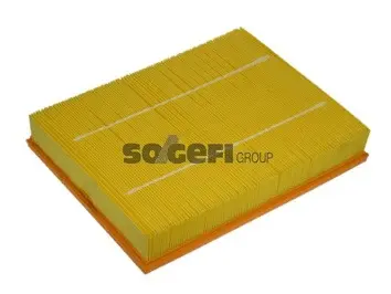 Air Filter (A1149)