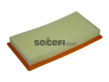Air Filter (A1310)